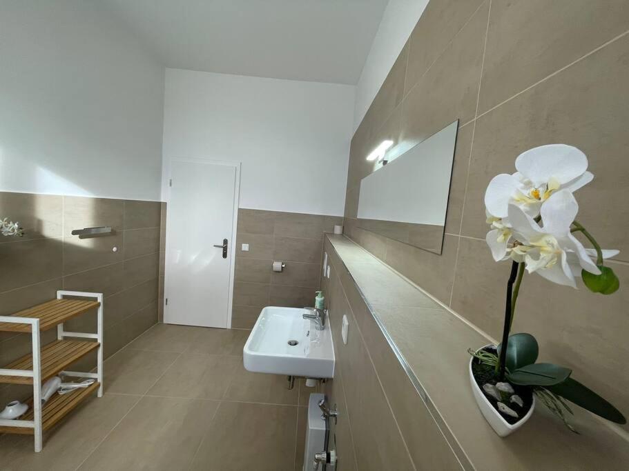 Lucky Stays Ls10 - Vollausstattung - Zentrum - Aufzug - Grosse Kueche - 2 Zimmer - Smart-Tv Magdeburg Luaran gambar